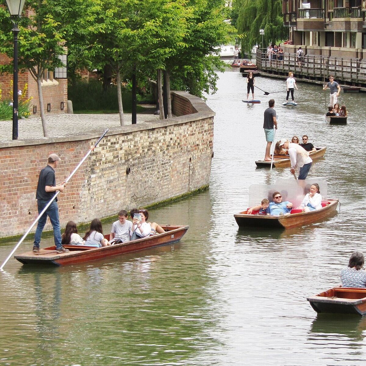 Visitors punting themselves along the Cam