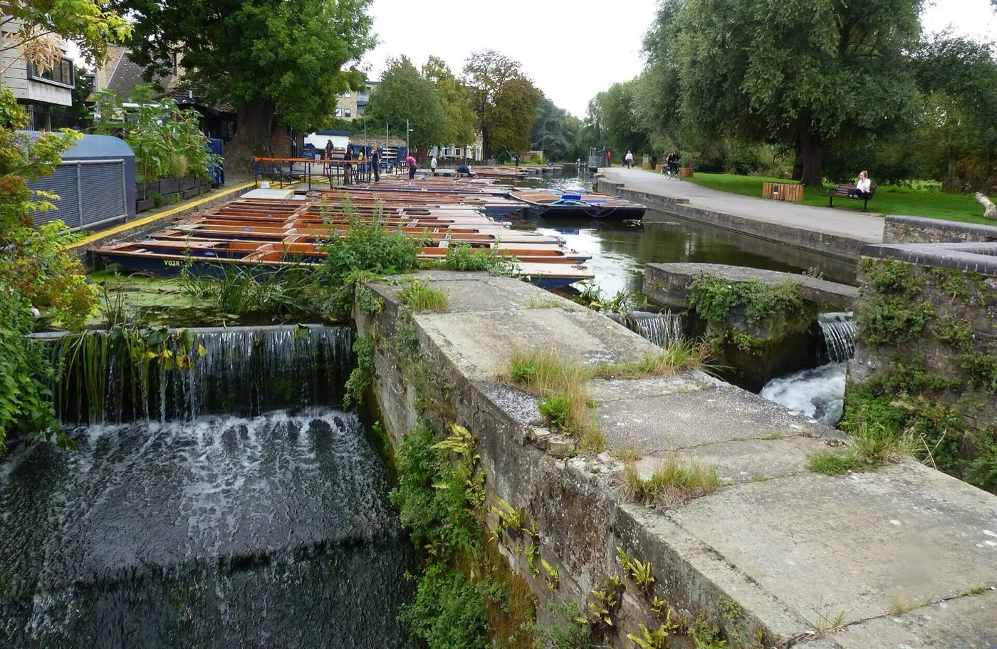 Punts moored near the Mill Pit boatyard