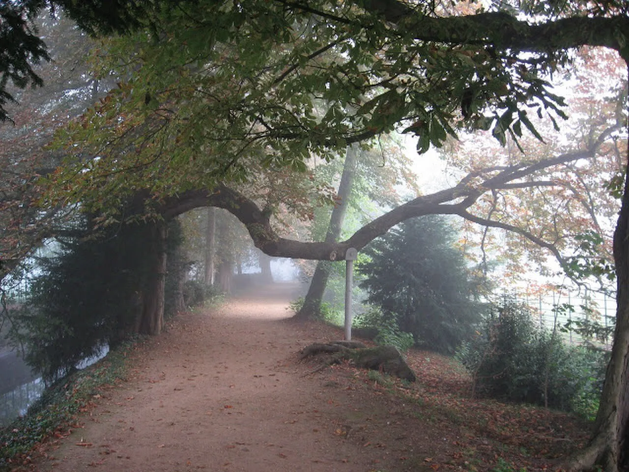 Addison's Walk at Magdalen College